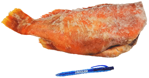 Окунь морской без головы крупный (Мурманск) 1,2 кг.
